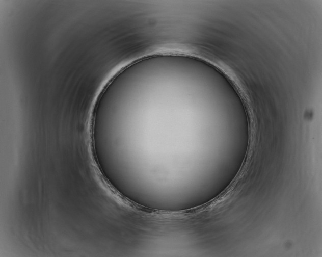 X0000100760864200806190907