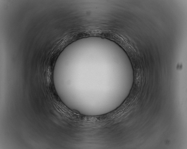 X0000100760866200806190907