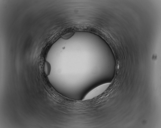 X0000100760867200806190907