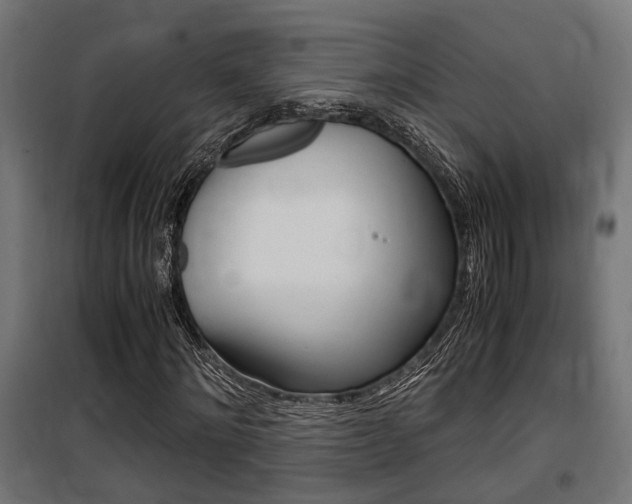 X0000100760868200806190907