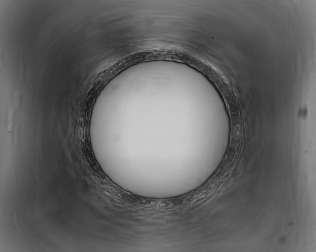 X0000100760869200806190907