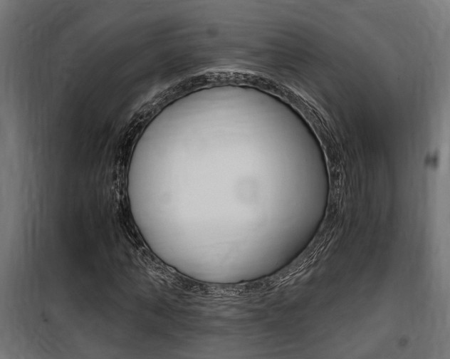 X0000100760870200806190907