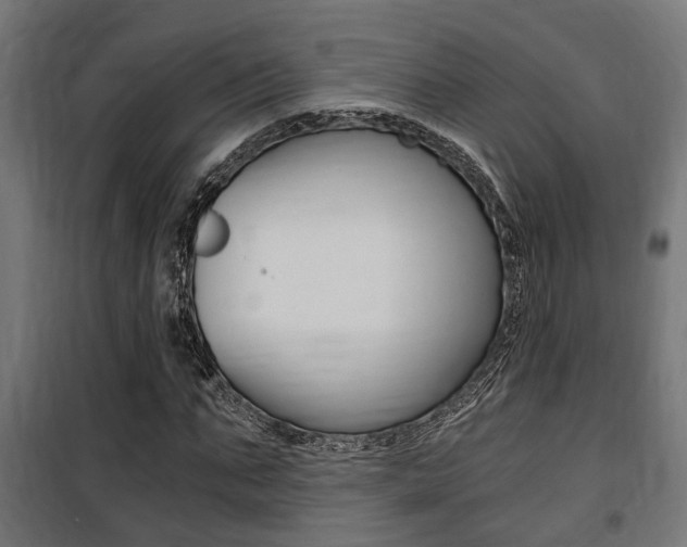 X0000100760871200806190907