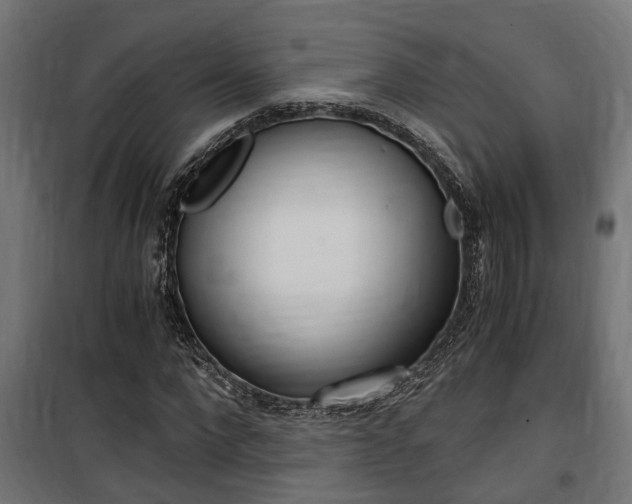 X0000100760872200806190907