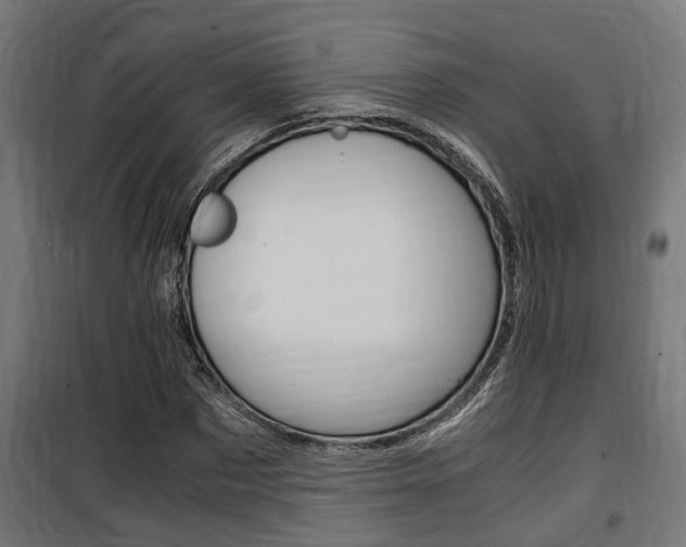 X0000100760873200806190907