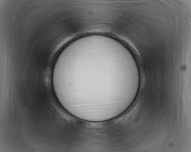 X0000100760874200806190907