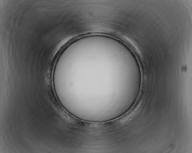 X0000100760875200806190907