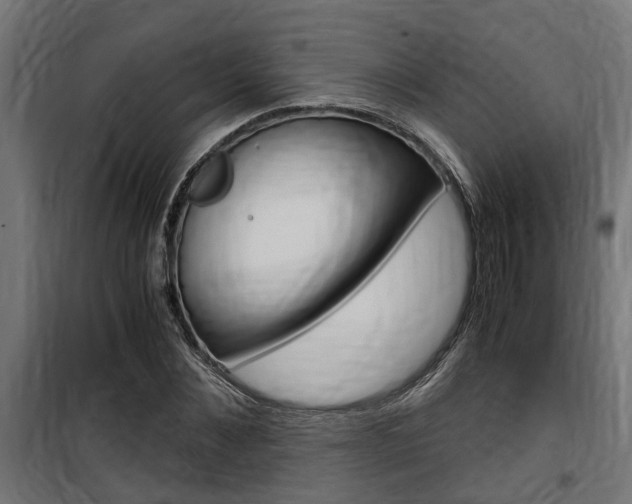 X0000100760876200806190907