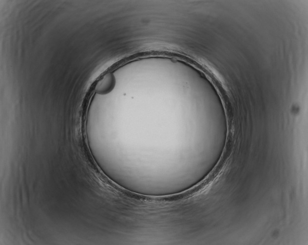 X0000100760877200806190907