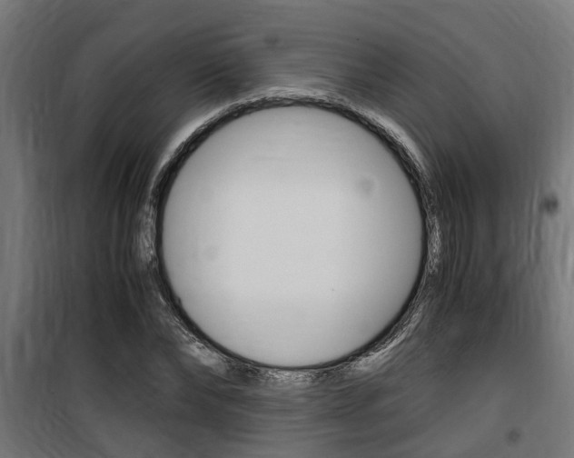 X0000100760878200806190907