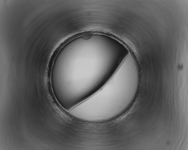 X0000100760880200806190906