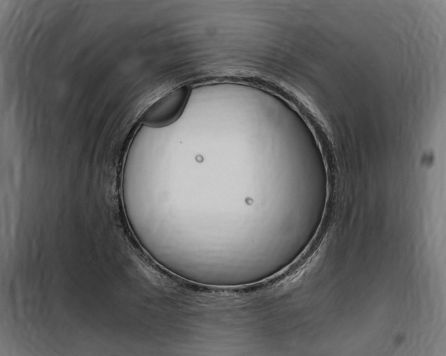 X0000100760881200806190906