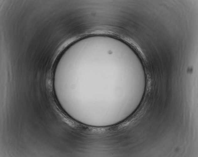 X0000100760882200806190906