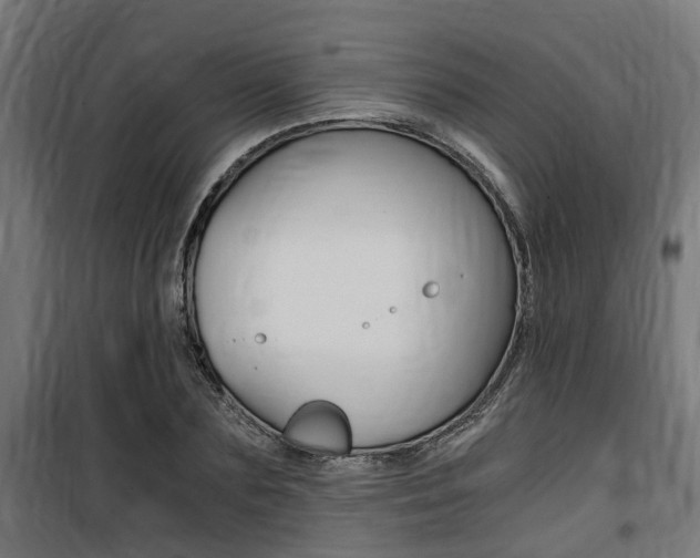 X0000100760883200806190906