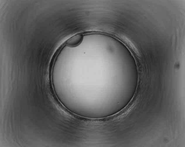 X0000100760884200806190906