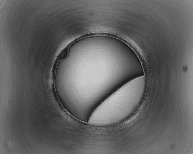 X0000100760885200806190906