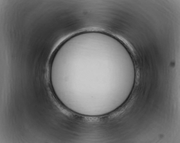 X0000100760886200806190906