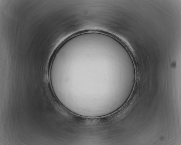 X0000100760887200806190906