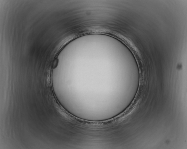 X0000100760889200806190906