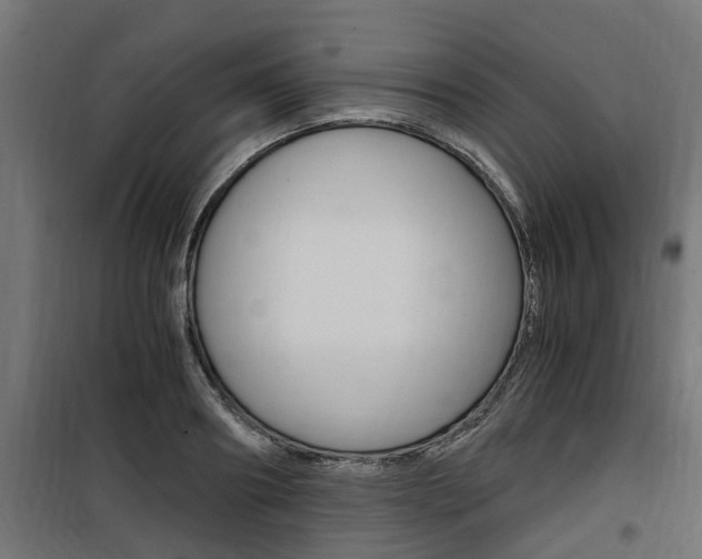 X0000100760890200806190906