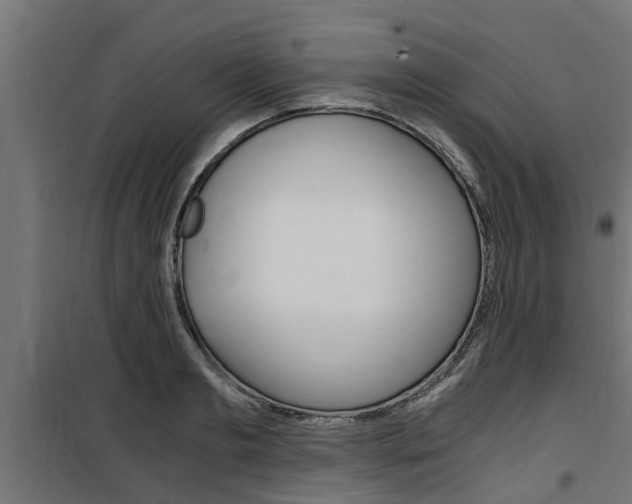 X0000100760893200806190906