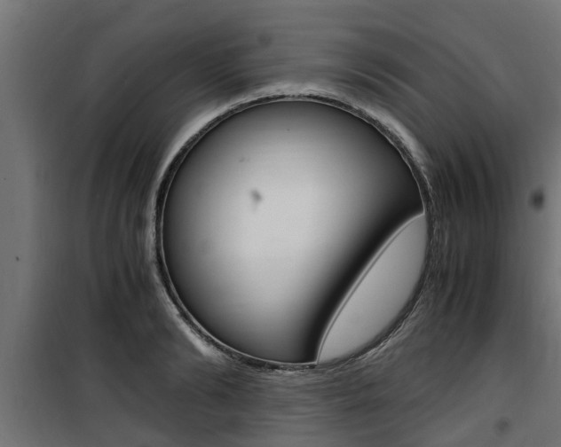 X0000100760894200806190906