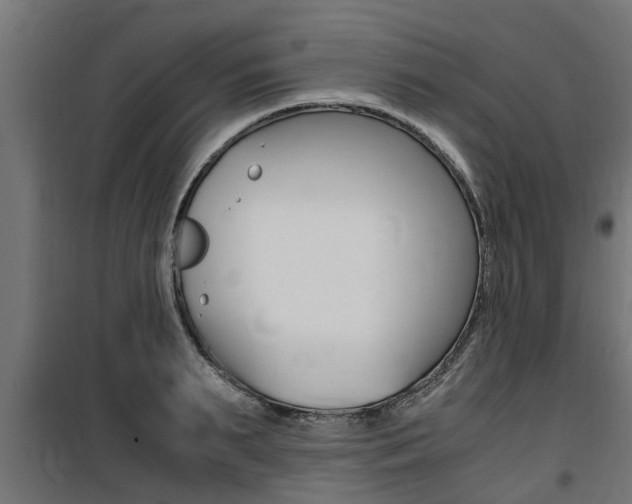 X0000100760895200806190906