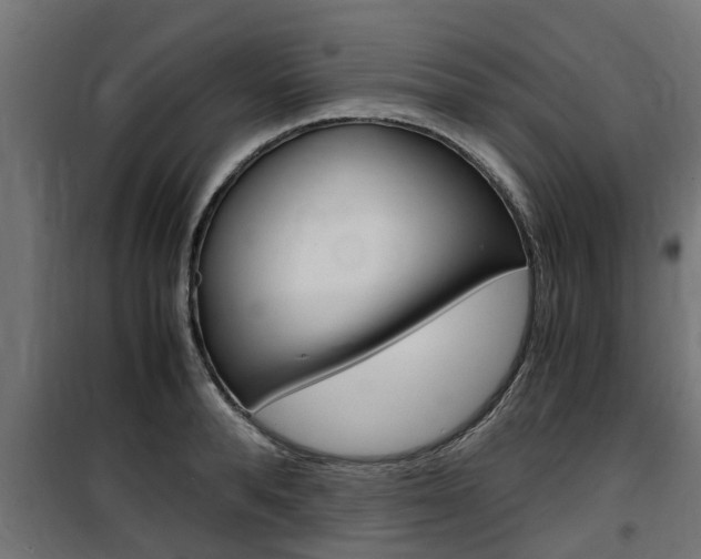 X0000100760896200806190906