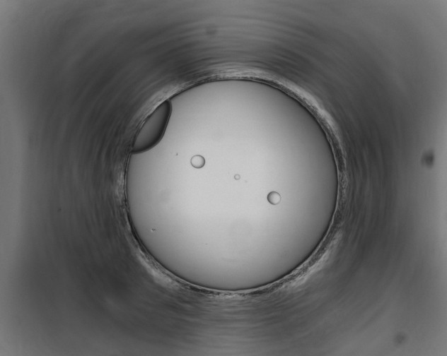 X0000100760897200806190906