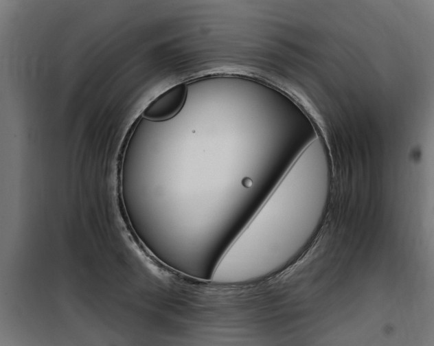 X0000100760898200806190906