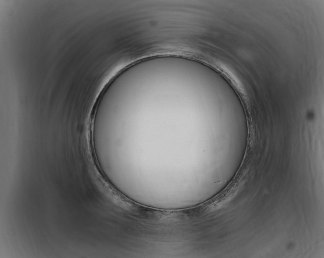 X0000100760899200806190906