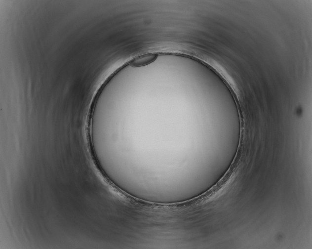 X0000100760901200806190906