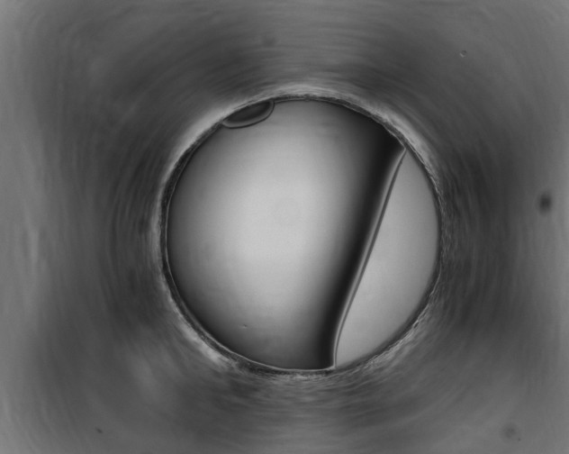 X0000100760902200806190906