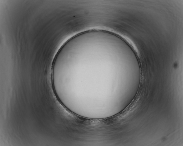 X0000100760903200806190906