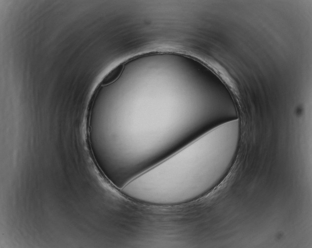 X0000100760904200806190906