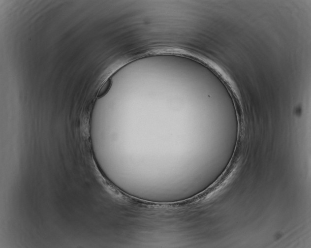 X0000100760905200806190906