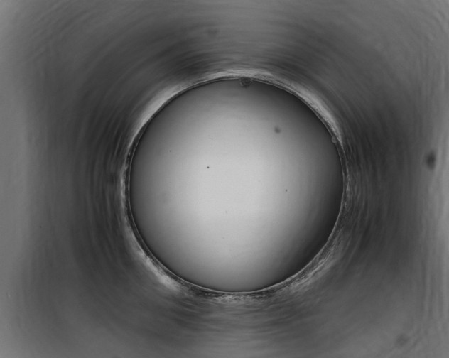 X0000100760906200806190906