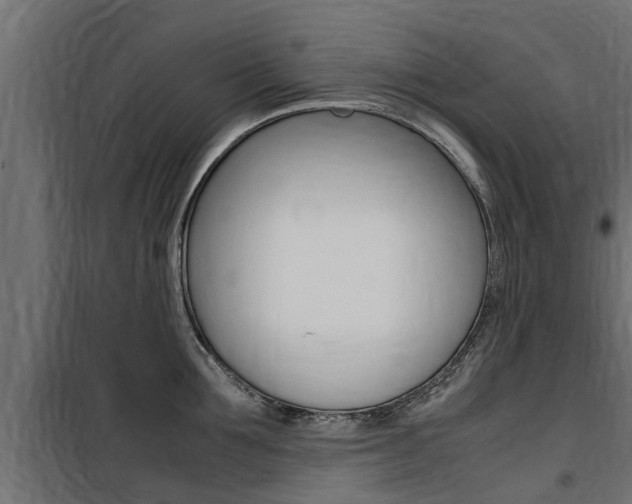 X0000100760907200806190906