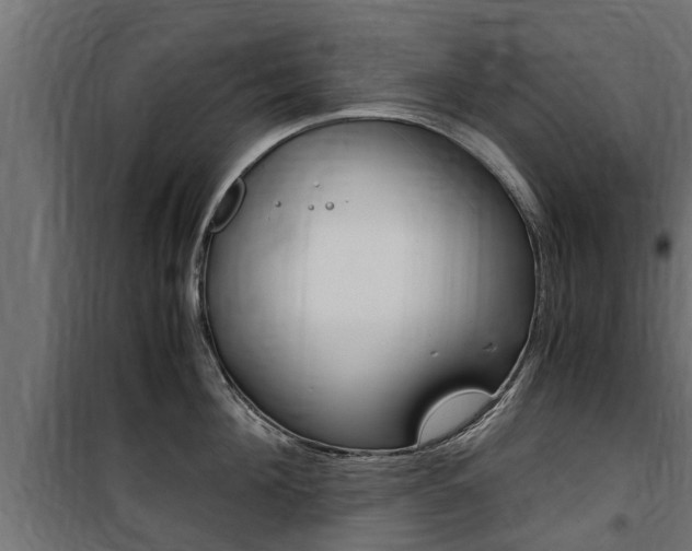 X0000100760908200806190906