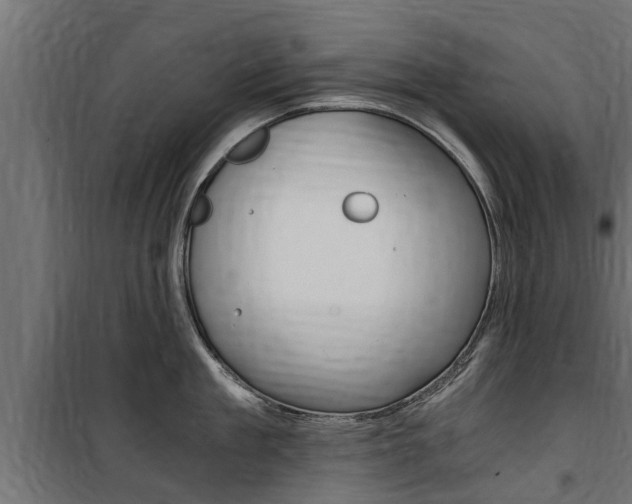 X0000100760909200806190906