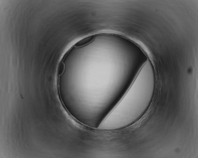 X0000100760910200806190906