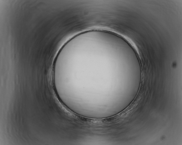 X0000100760911200806190906