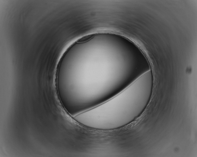 X0000100760912200806190906