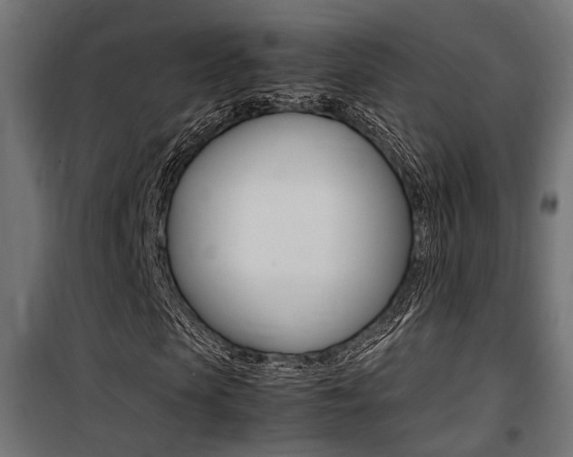 X0000100760913200806190905