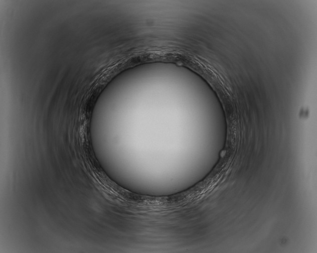 X0000100760914200806190905