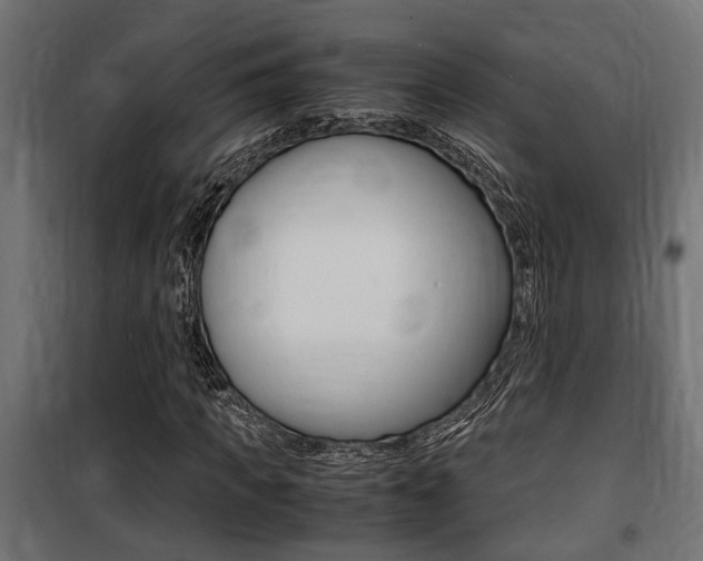 X0000100760917200806190905