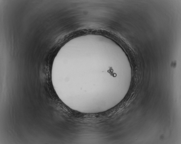 X0000100760918200806190905