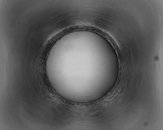 X0000100760919200806190905