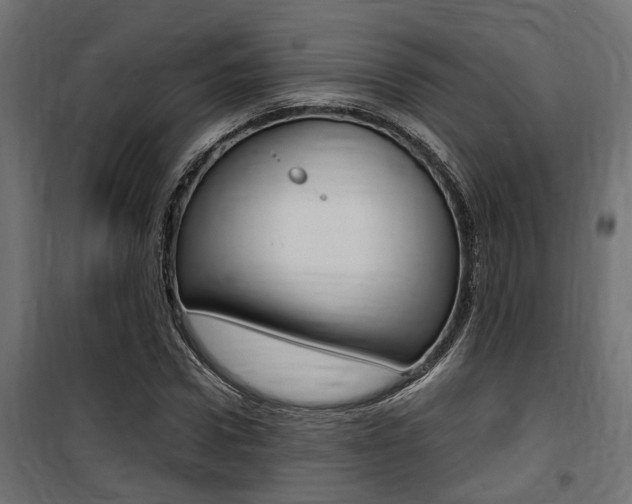 X0000100760922200806190905