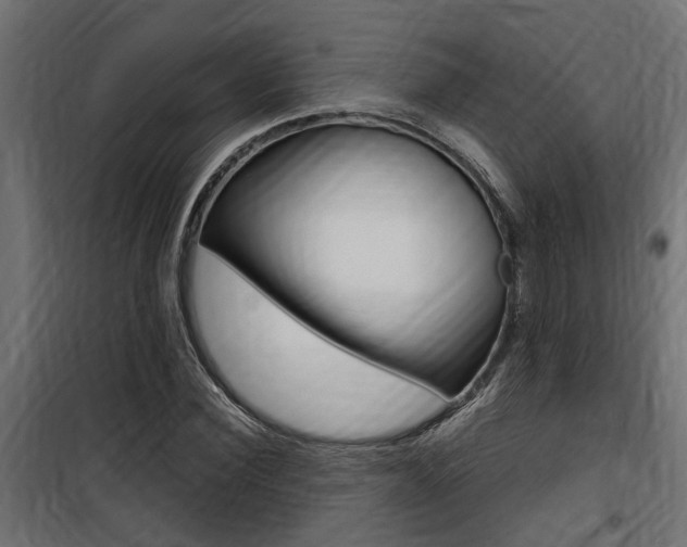 X0000100760924200806190906